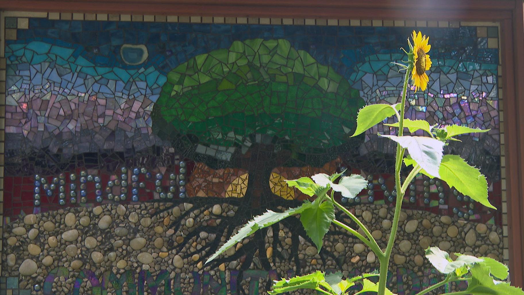 ‘Chicago Tonight’ in Your Neighborhood Avondale Chicago News WTTW